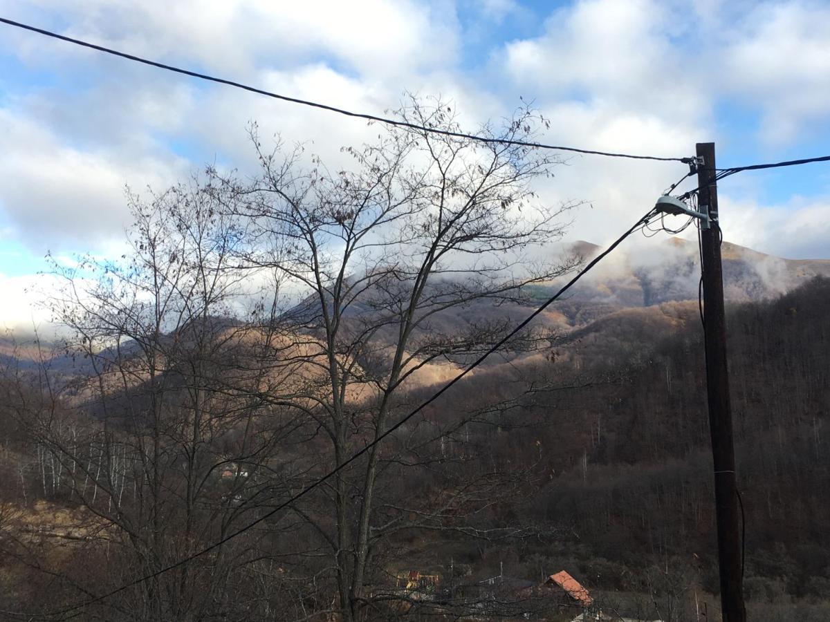 Crni Vrh Kuca Za Odmor ,,Balkan” מראה חיצוני תמונה